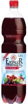 Extaler Mineralquell Rote Schorle 1250ml