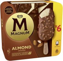 Langnese Multipack Magnum Mandel 6x100ml