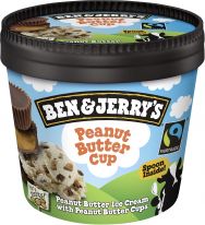 Ben & Jerry's Peanut Butter Cup 100ml