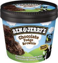Ben & Jerry's Chocolate Fudge Brownie 100ml