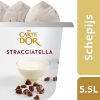 Carte D'Or Gelateria Stracciatella 5500ml