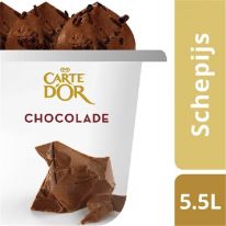 Carte D'Or Gelateria Chocolat Noir 5500ml