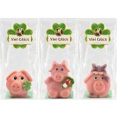 Odenwälder Marzipan Christmas Schweinesortiment im Beutel 50g